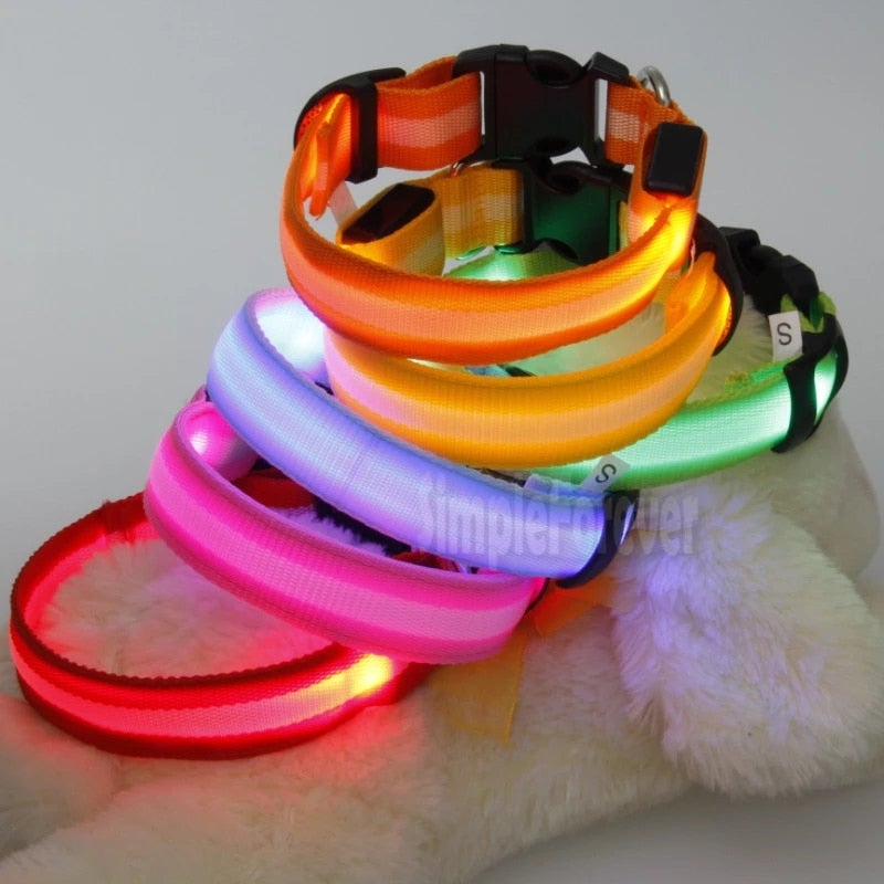 LED Dog Safety Collar β Night Glow