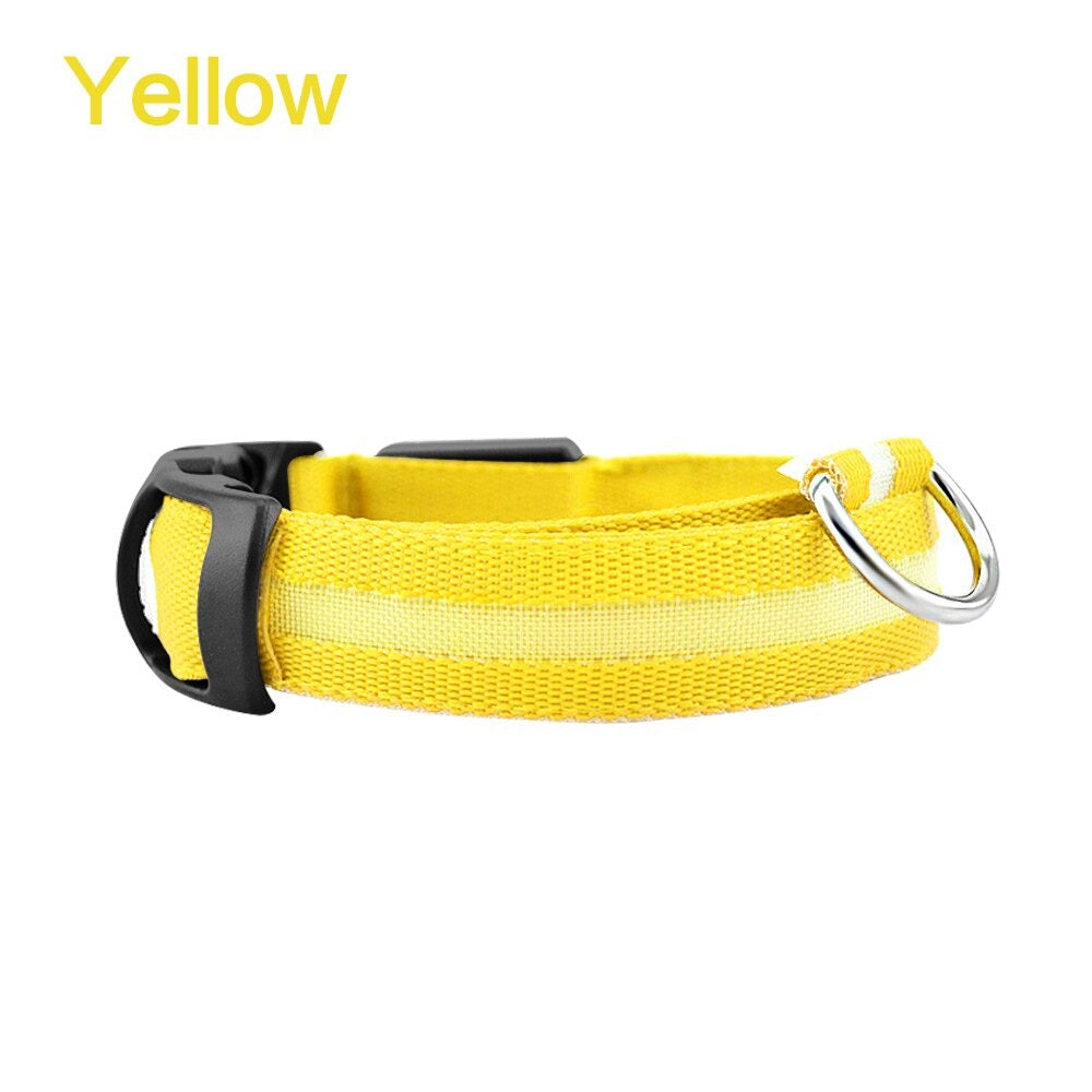 LED Dog Safety Collar β Night Glow