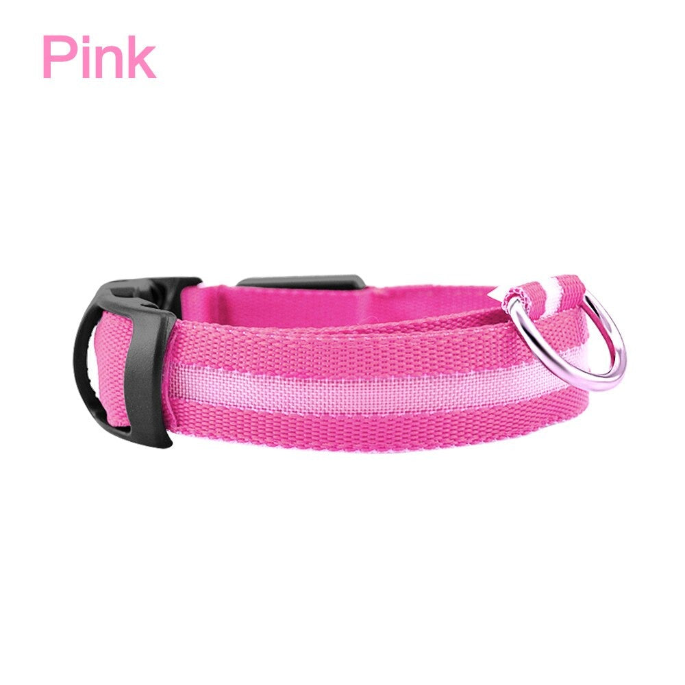 LED Dog Safety Collar β Night Glow