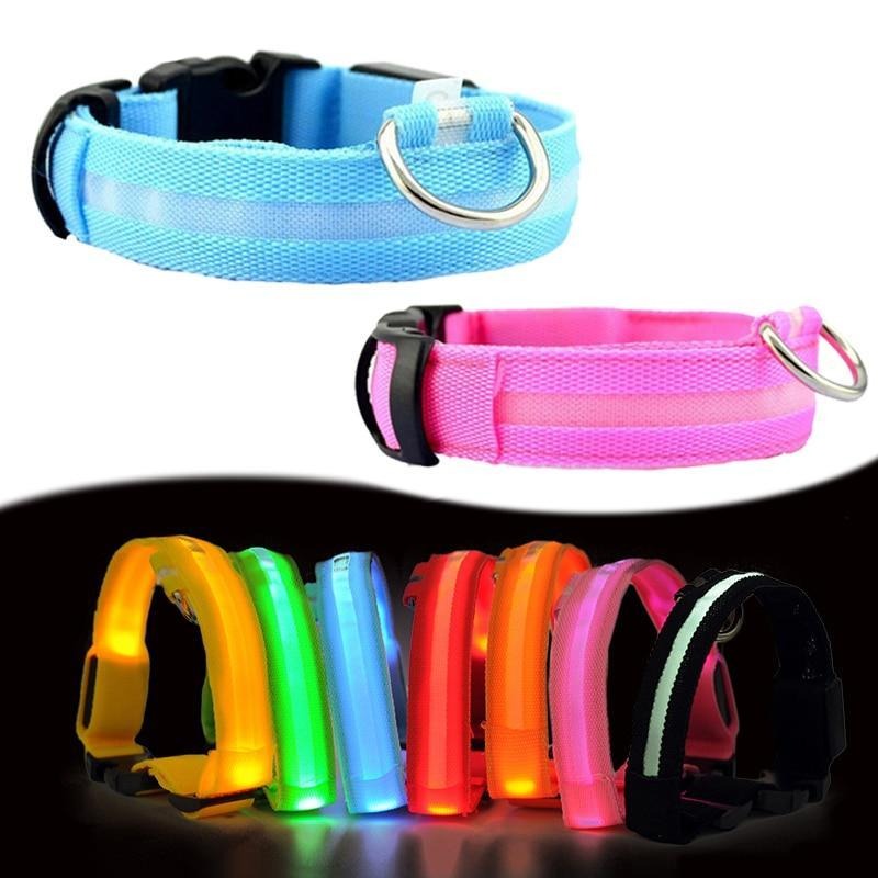 LED Dog Safety Collar β Night Glow