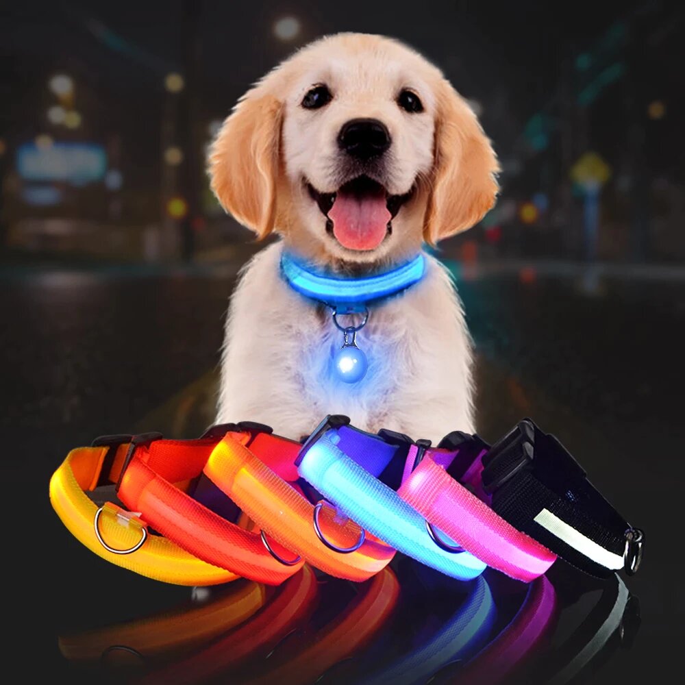 LED Dog Safety Collar β Night Glow