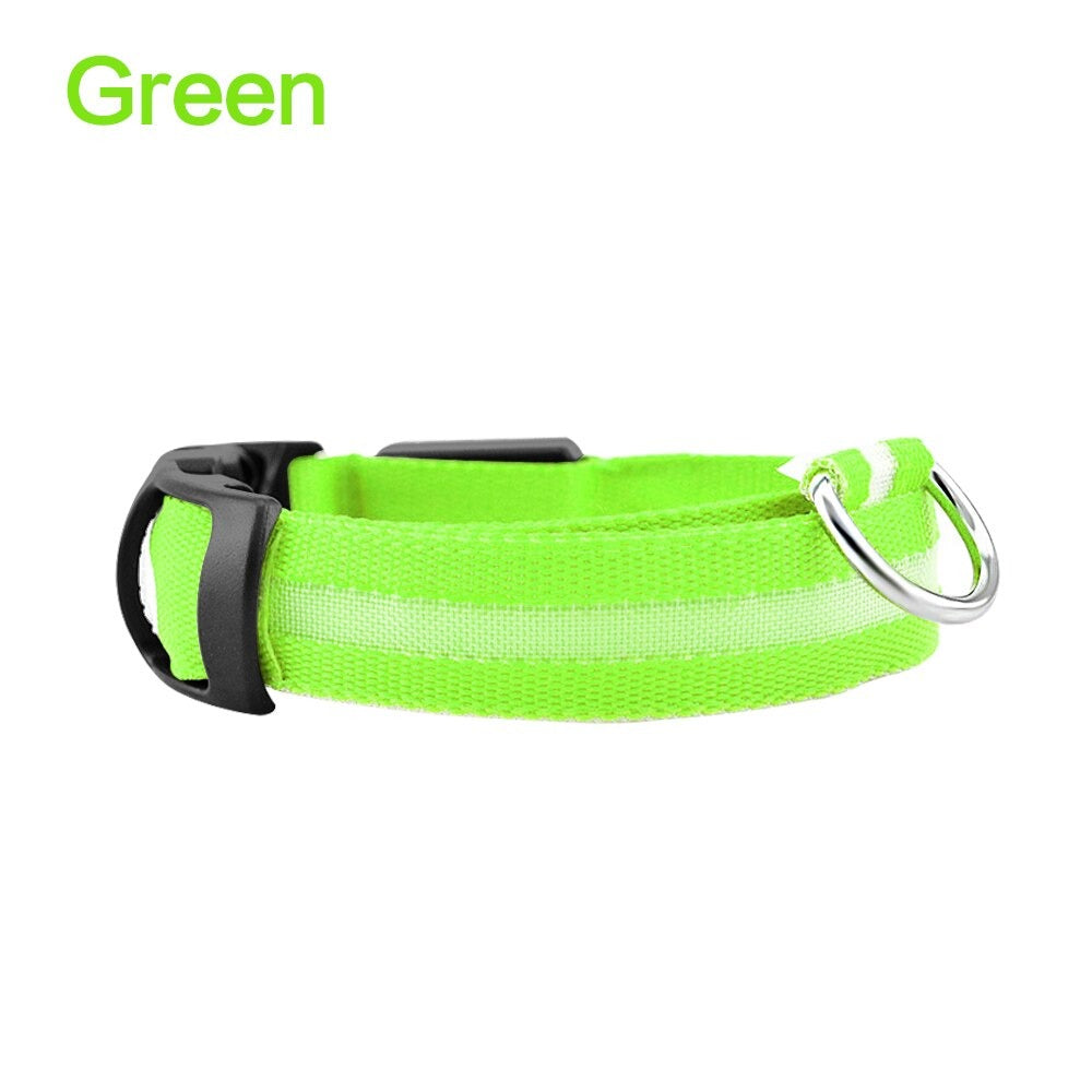 LED Dog Safety Collar β Night Glow