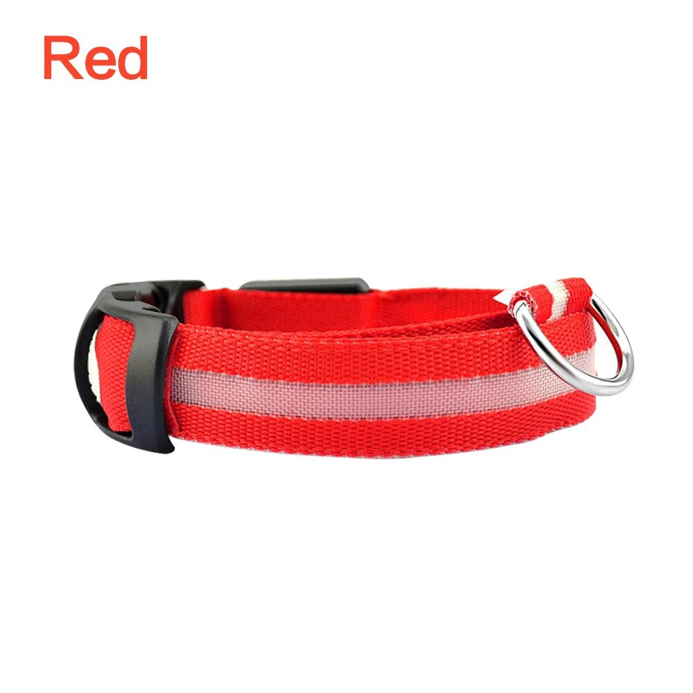 LED Dog Safety Collar β Night Glow
